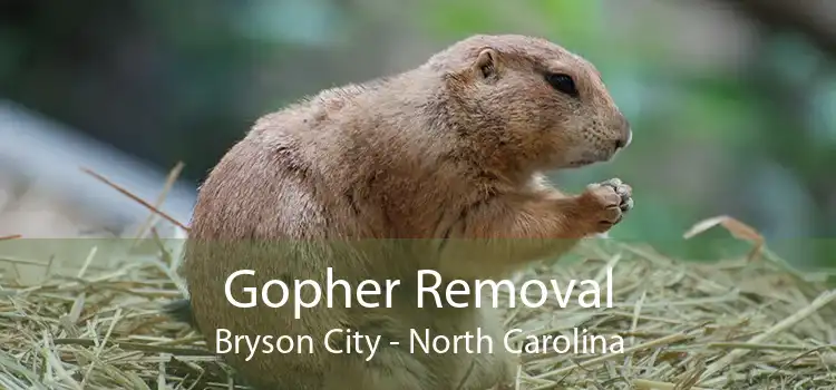 Gopher Removal Bryson City - North Carolina
