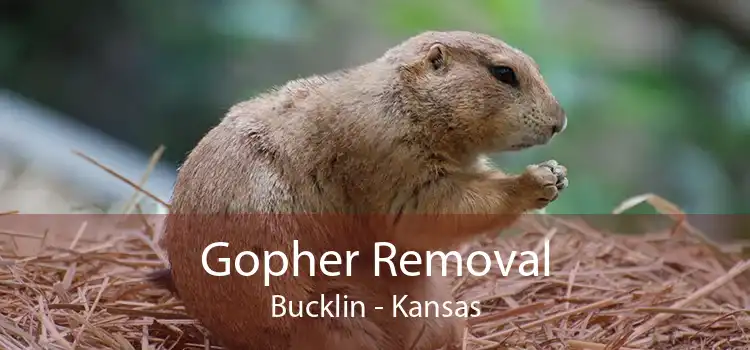 Gopher Removal Bucklin - Kansas
