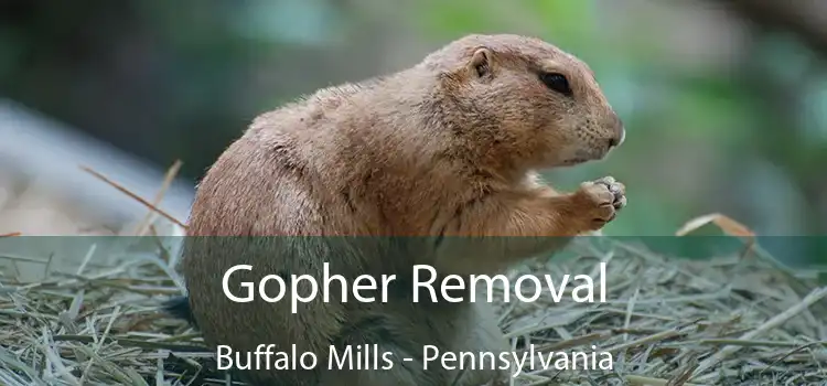 Gopher Removal Buffalo Mills - Pennsylvania