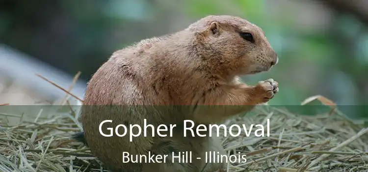 Gopher Removal Bunker Hill - Illinois