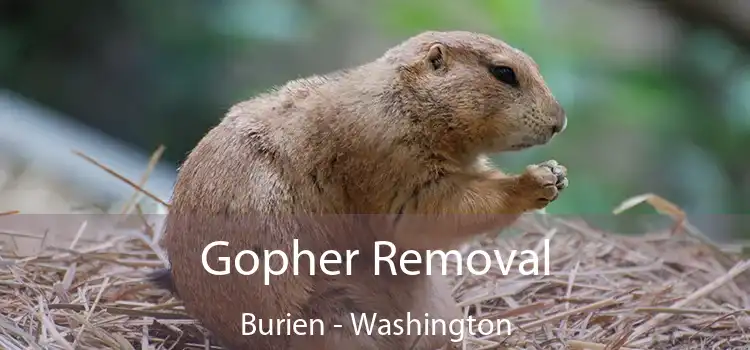 Gopher Removal Burien - Washington