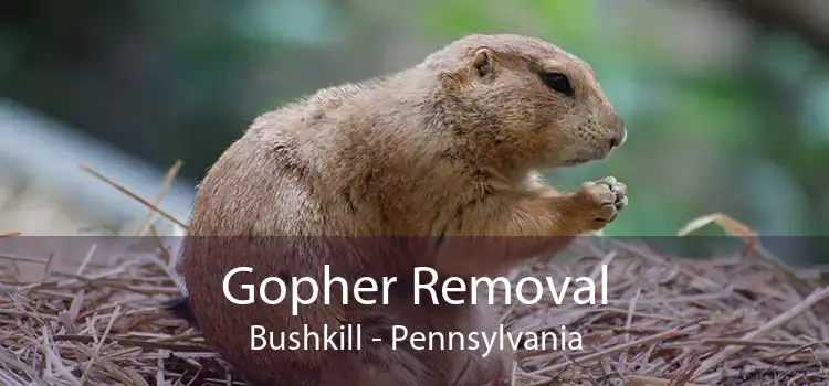 Gopher Removal Bushkill - Pennsylvania