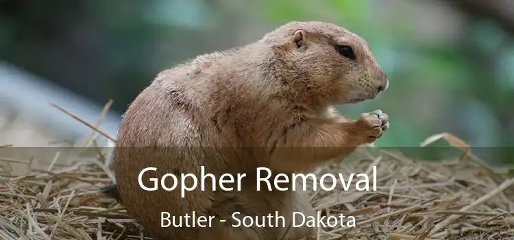 Gopher Removal Butler - South Dakota