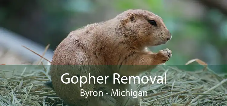 Gopher Removal Byron - Michigan