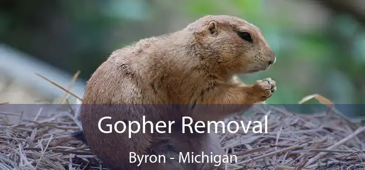 Gopher Removal Byron - Michigan