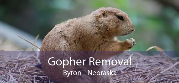 Gopher Removal Byron - Nebraska