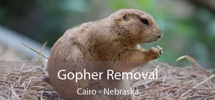 Gopher Removal Cairo - Nebraska