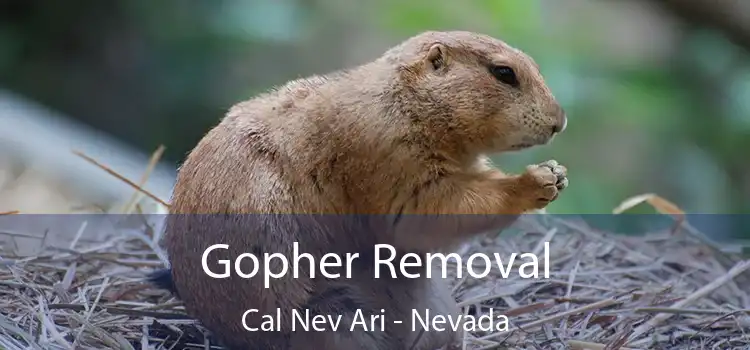 Gopher Removal Cal Nev Ari - Nevada
