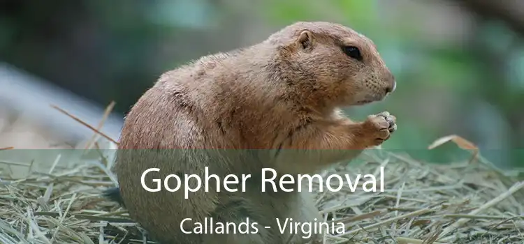 Gopher Removal Callands - Virginia