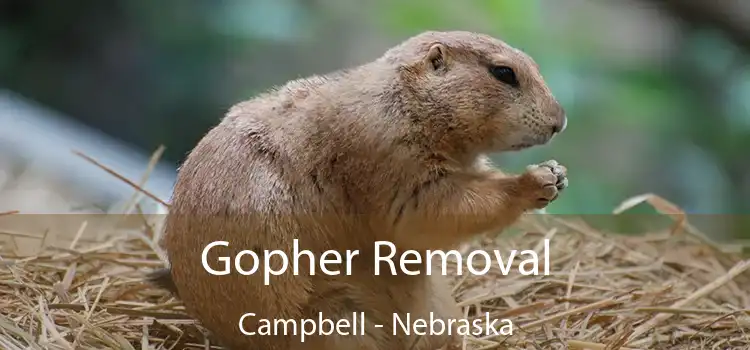 Gopher Removal Campbell - Nebraska