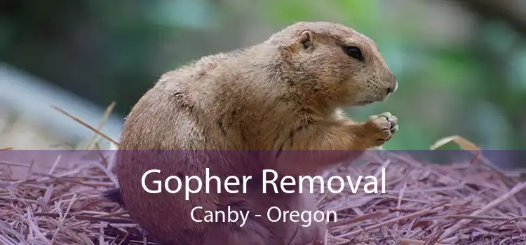 Gopher Removal Canby - Oregon
