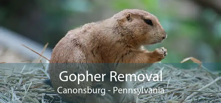 Gopher Removal Canonsburg - Pennsylvania