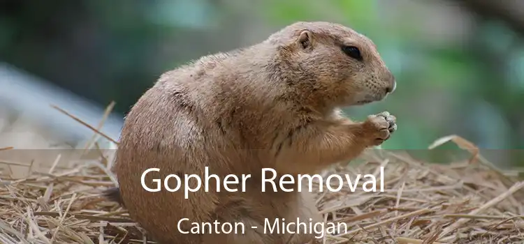 Gopher Removal Canton - Michigan