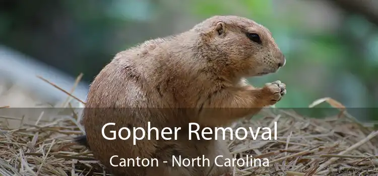 Gopher Removal Canton - North Carolina