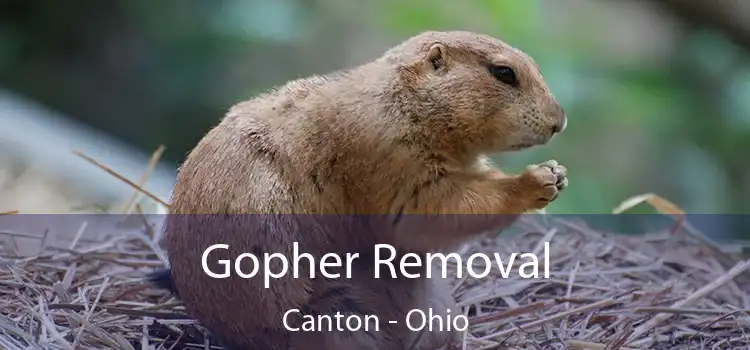 Gopher Removal Canton - Ohio