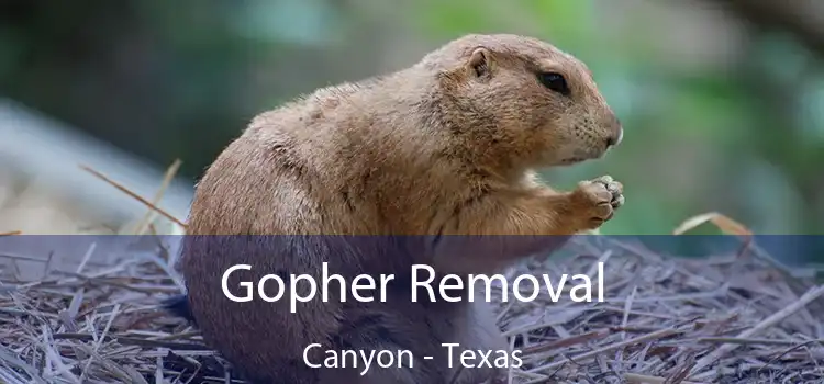 Gopher Removal Canyon - Texas