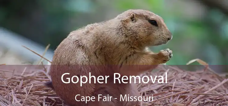 Gopher Removal Cape Fair - Missouri