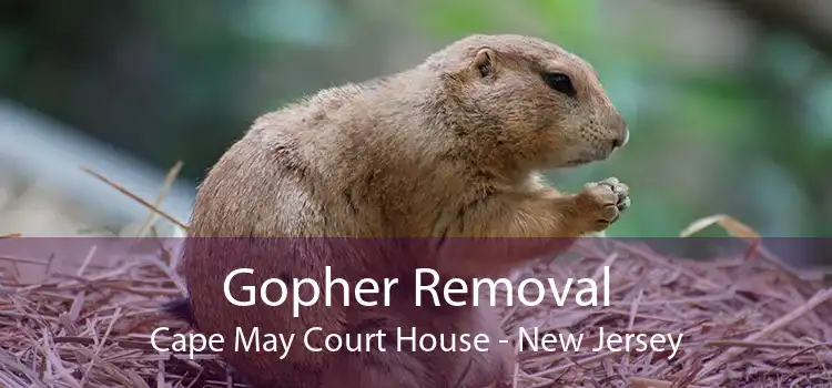 Gopher Removal Cape May Court House - New Jersey