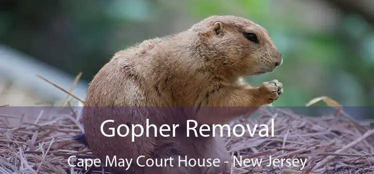 Gopher Removal Cape May Court House - New Jersey