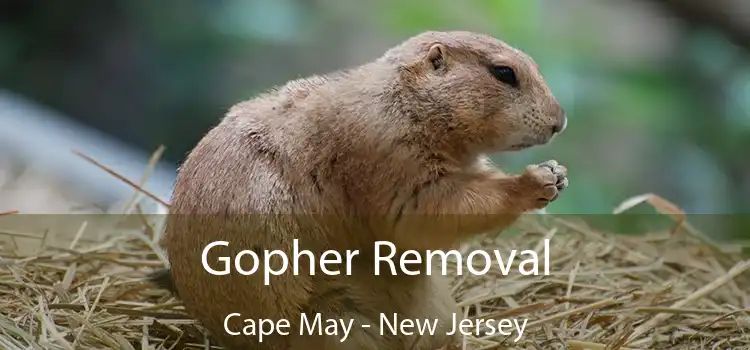 Gopher Removal Cape May - New Jersey