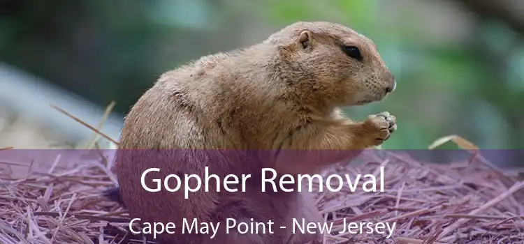 Gopher Removal Cape May Point - New Jersey