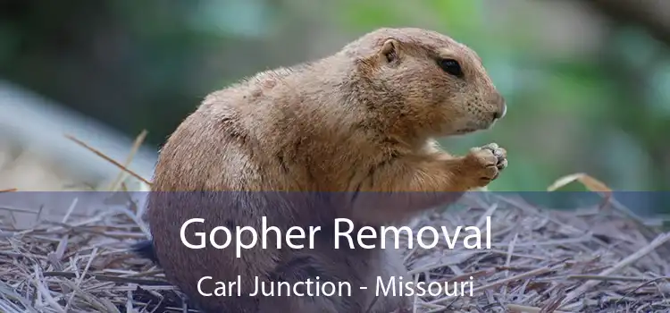 Gopher Removal Carl Junction - Missouri