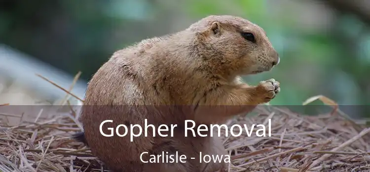 Gopher Removal Carlisle - Iowa