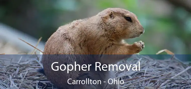 Gopher Removal Carrollton - Ohio