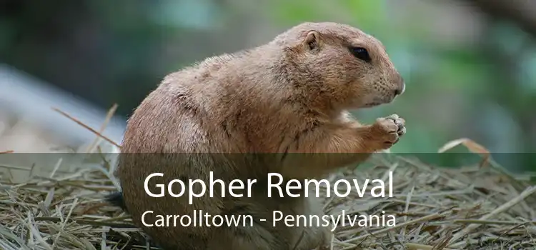 Gopher Removal Carrolltown - Pennsylvania