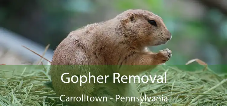 Gopher Removal Carrolltown - Pennsylvania
