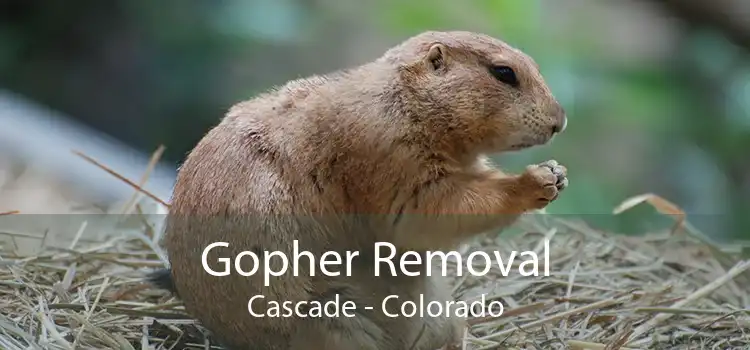 Gopher Removal Cascade - Colorado