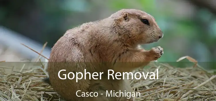 Gopher Removal Casco - Michigan