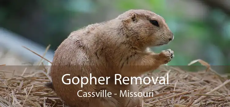 Gopher Removal Cassville - Missouri