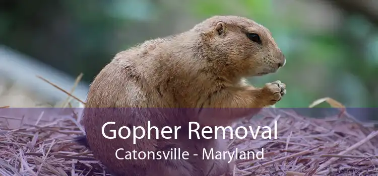 Gopher Removal Catonsville - Maryland