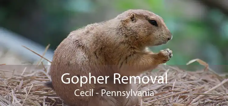 Gopher Removal Cecil - Pennsylvania