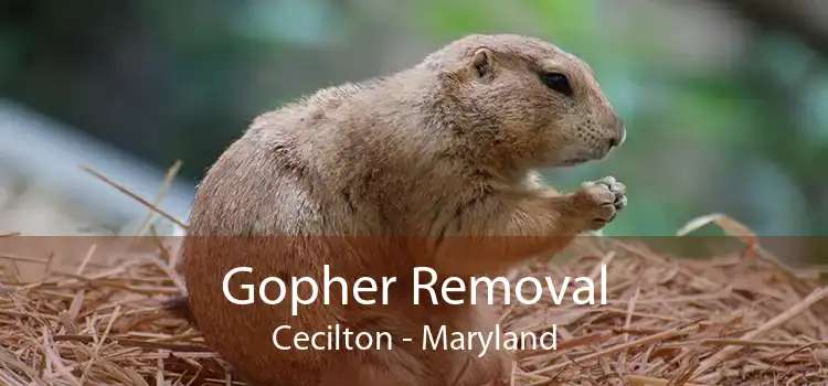 Gopher Removal Cecilton - Maryland