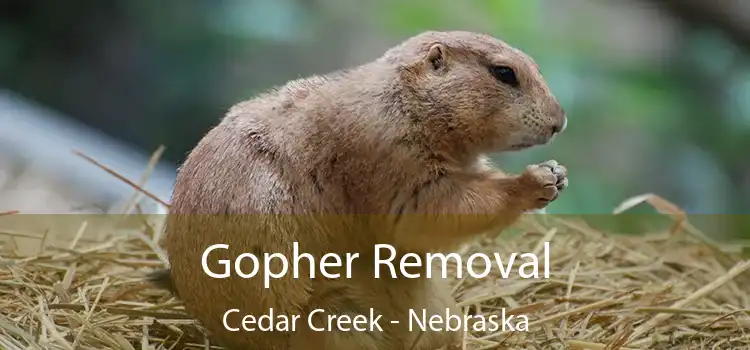 Gopher Removal Cedar Creek - Nebraska