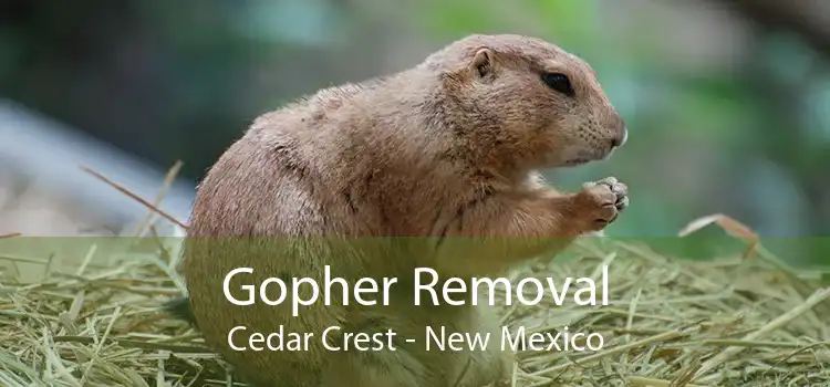 Gopher Removal Cedar Crest - New Mexico