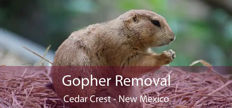 Gopher Removal Cedar Crest - New Mexico