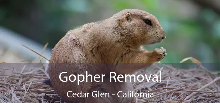 Gopher Removal Cedar Glen - California