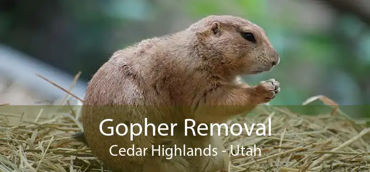 Gopher Removal Cedar Highlands - Utah
