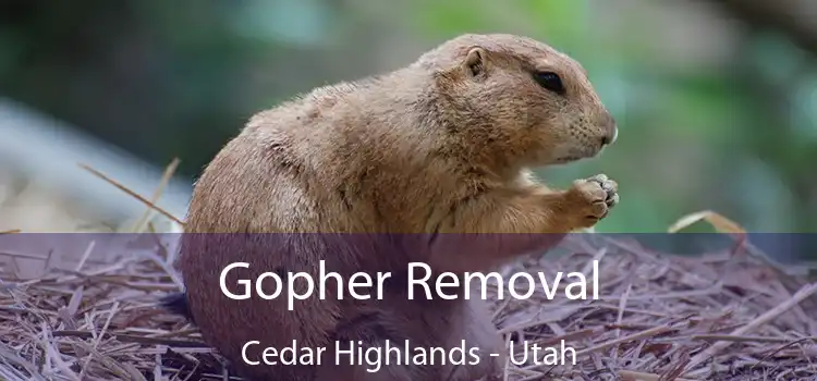 Gopher Removal Cedar Highlands - Utah