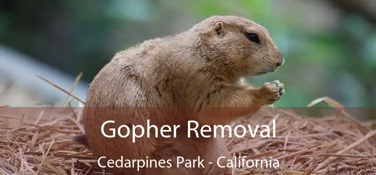 Gopher Removal Cedarpines Park - California