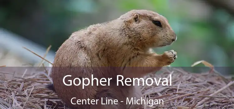 Gopher Removal Center Line - Michigan