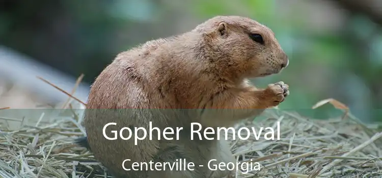 Gopher Removal Centerville - Georgia