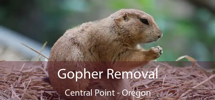Gopher Removal Central Point - Oregon