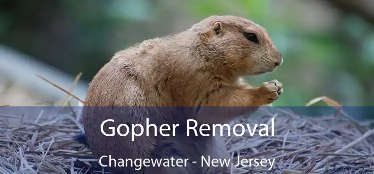 Gopher Removal Changewater - New Jersey