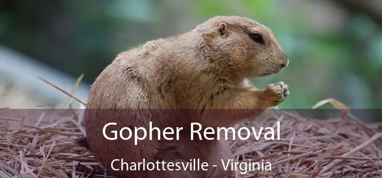 Gopher Removal Charlottesville - Virginia
