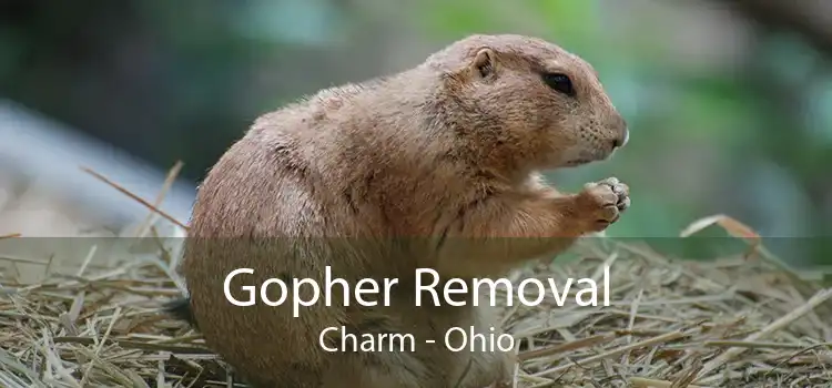 Gopher Removal Charm - Ohio