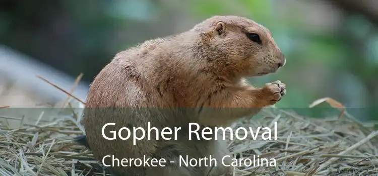 Gopher Removal Cherokee - North Carolina